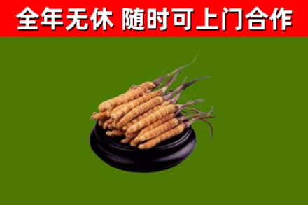 尚志市烟酒回收冬虫夏草.jpg